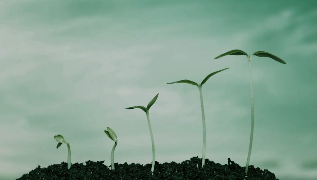 PLM: Automate your Product Development Compliance Process