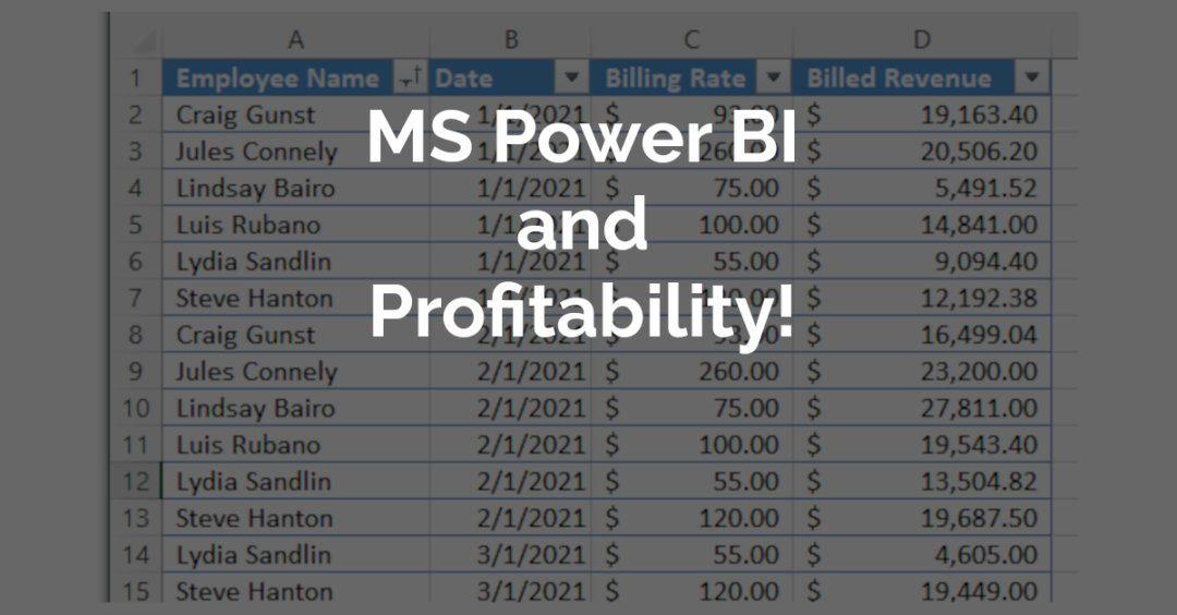 How To Use Power BI To Display Employee Profitability In A Services Company
