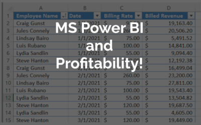 How To Use Power BI To Display Employee Profitability In A Services Company