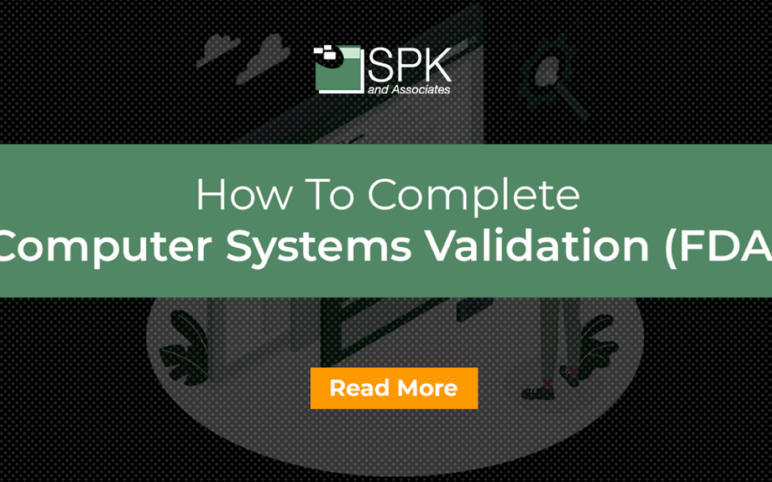 How To Complete Computer Systems Validation (FDA)