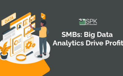 SMBs: Big Data Analytics Drive Profit