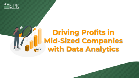 Driving Profits in Mid-Sized Companies with Data Analytics