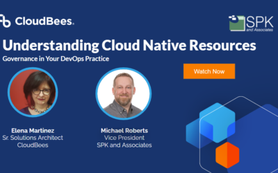 Understanding Cloud Native Resources: Governance in Your DevOps Practice