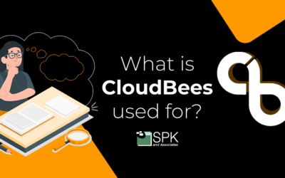 What Is CloudBees Used For?