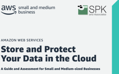 Store and Protect Your Data in the Cloud with AWS: A Guide and Assessment for SMBs