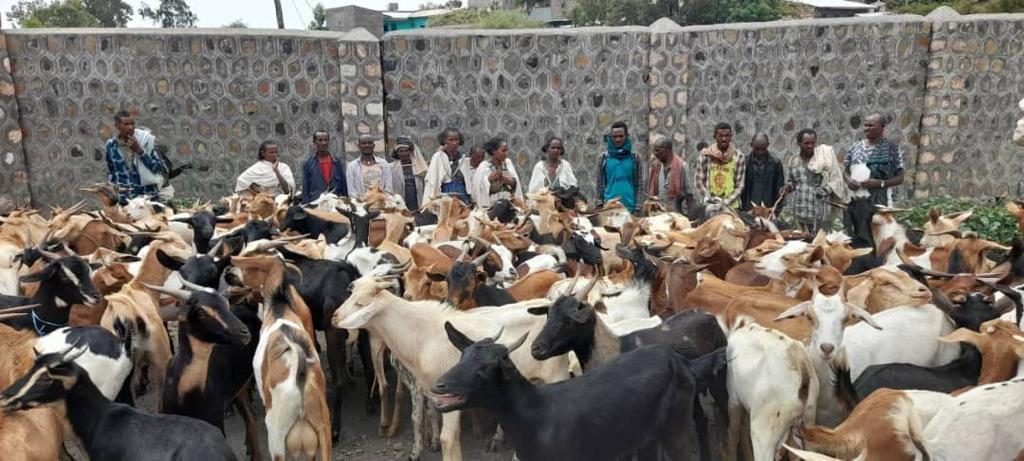 Revitalizing Livelihood Zoz Amba