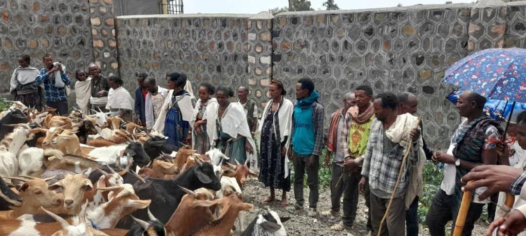 Revitalizing Livelihoods Zoz Amba