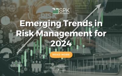 Emerging Trends in Risk Management for 2024