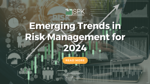 Emerging Trends In Risk Management For 2024 Spk And Associates Emerging Trends In Risk Management For 2024 Spk And Associates