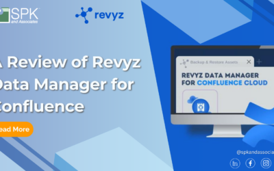 A Review of Revyz Data Manager for Confluence