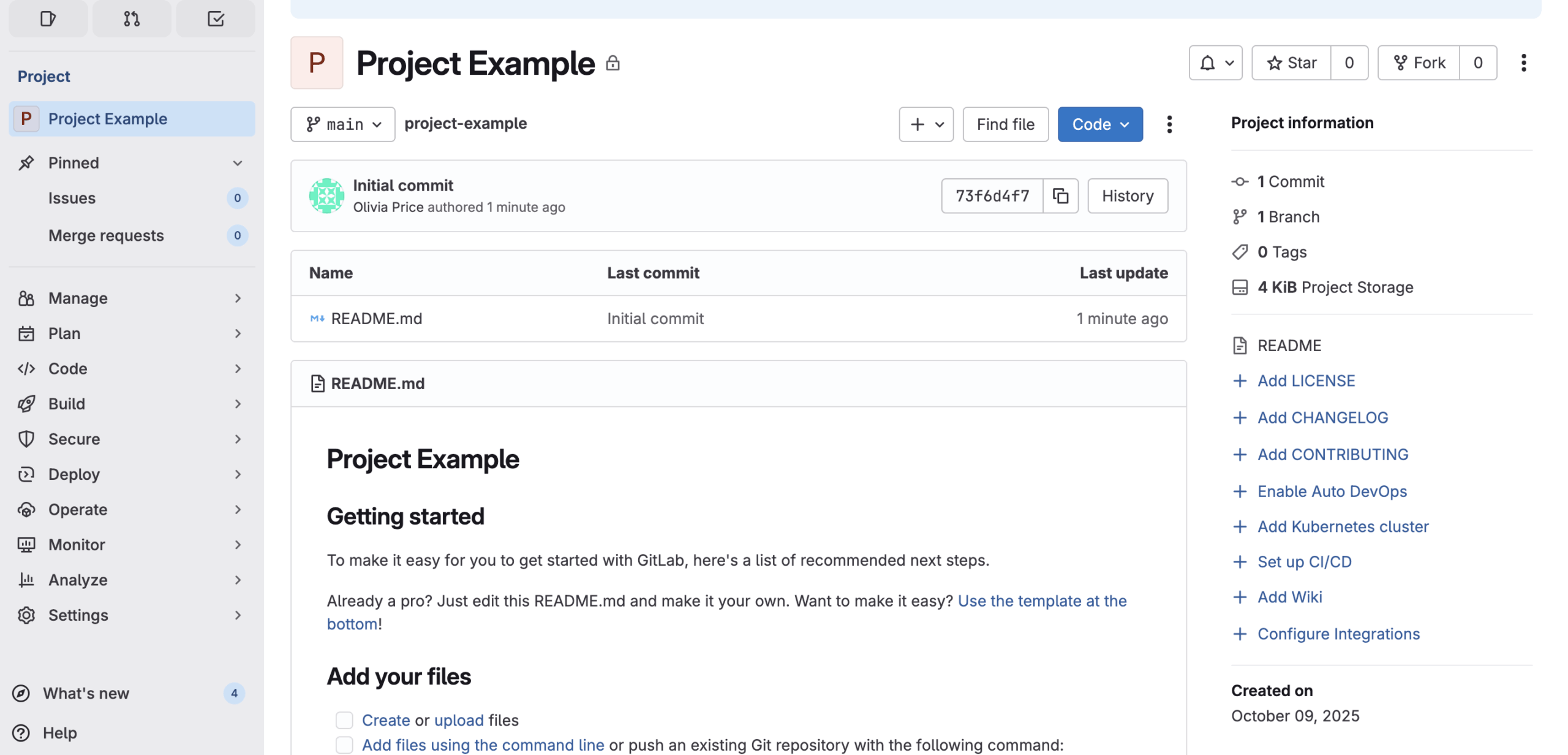 project-example